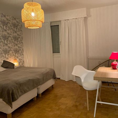 Appartement Centre-Ville 科尔马 外观 照片