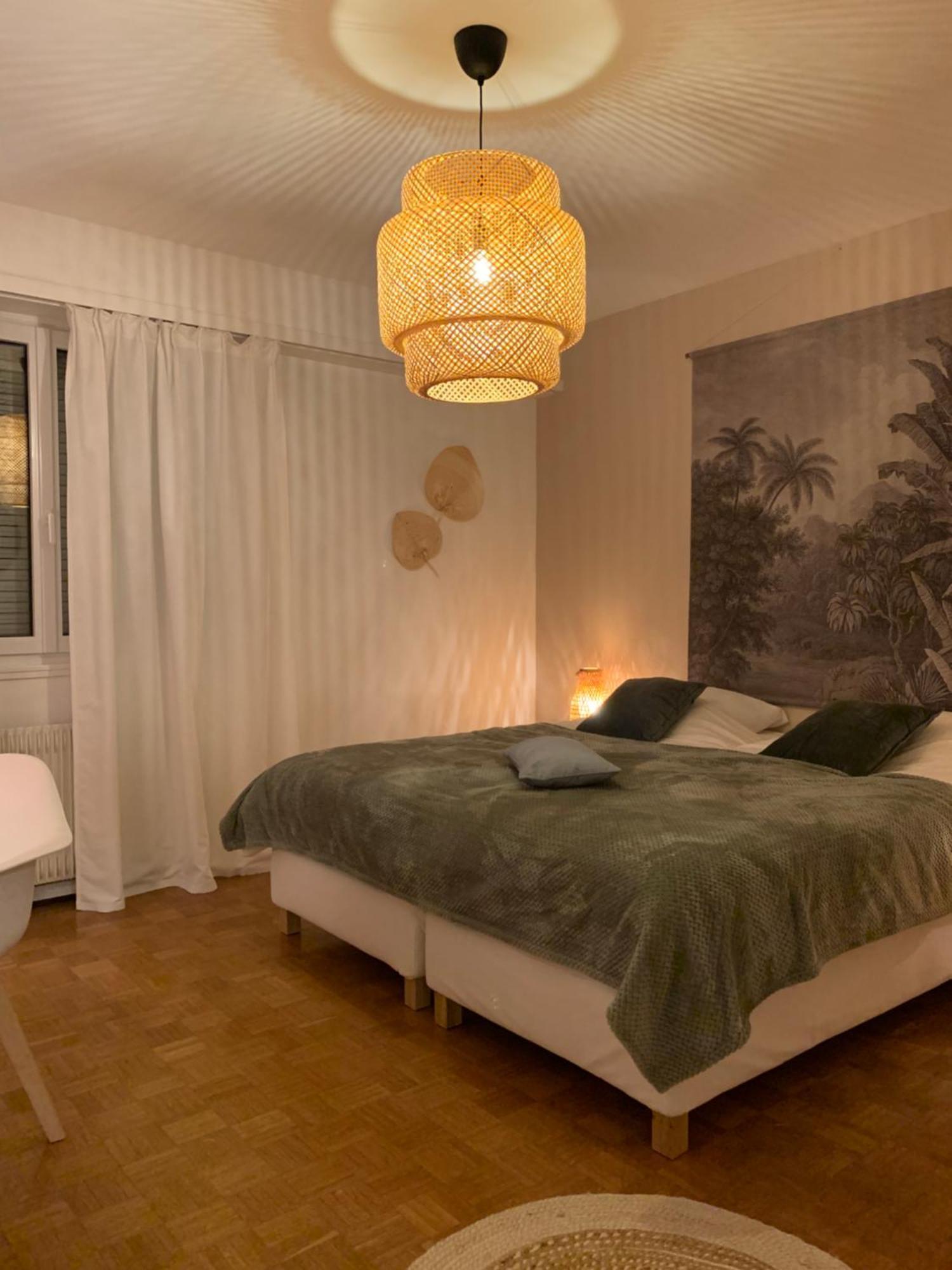 Appartement Centre-Ville 科尔马 外观 照片
